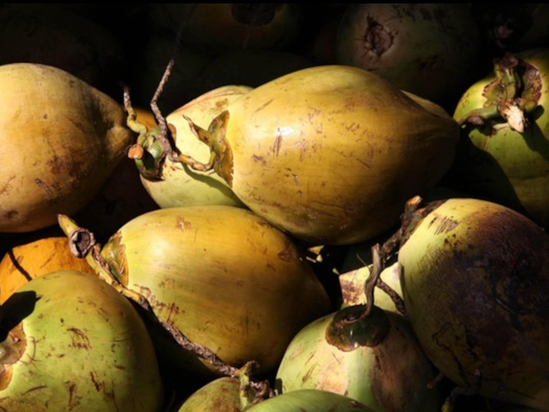 Pengusaha Mengeluh8x6