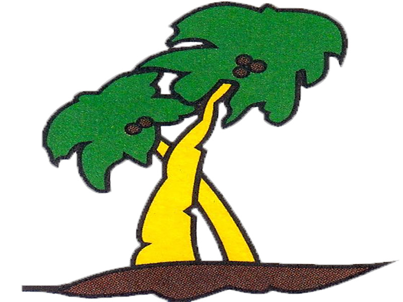 Ikaindo Industri Karbonik Indonesia 800x600